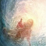 Image belongs to Suzanne Davis Harden